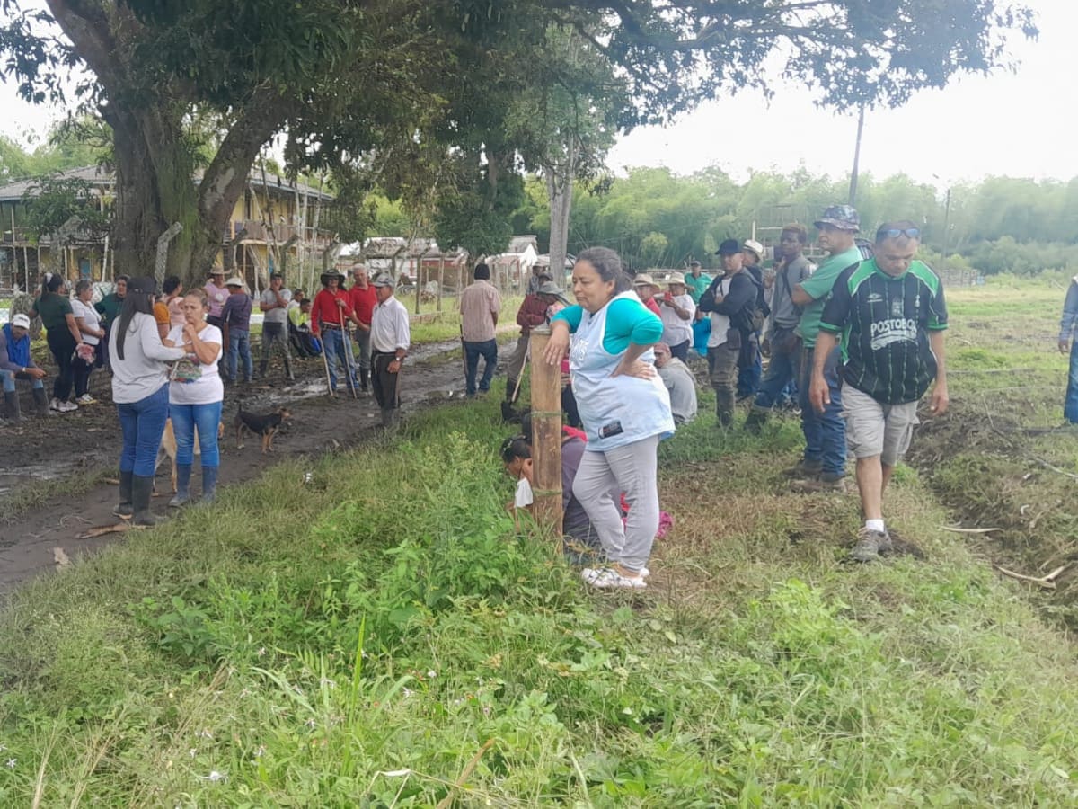 Tutela frenó desalojo de campesinos en predio ubicado en zona rural del Quindío