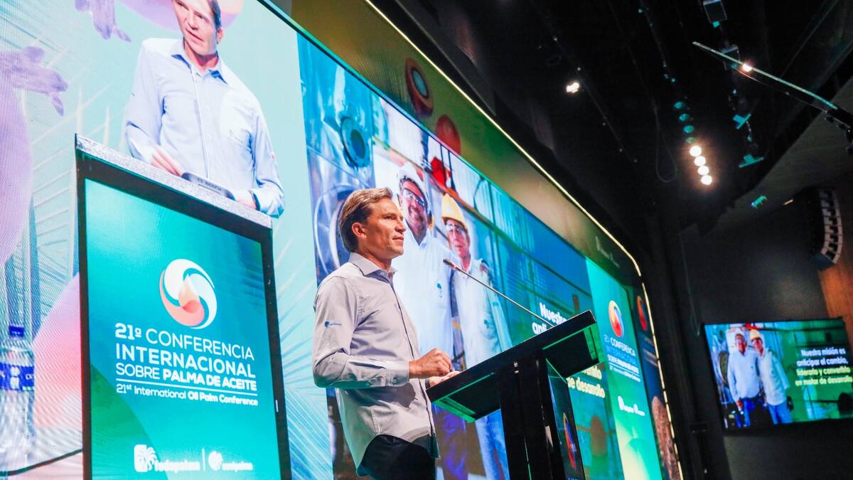 Industria de palma enfrenta grandes retos en Colombia: cultivos y mano de obra se están envejeciendo