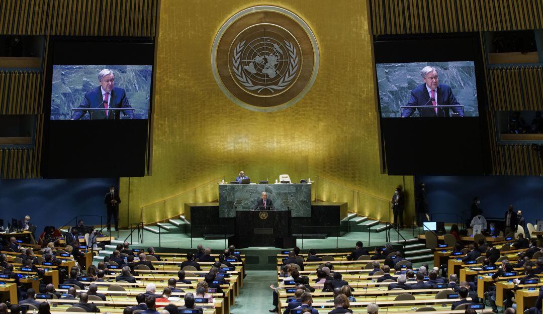 Asamblea General de la ONU