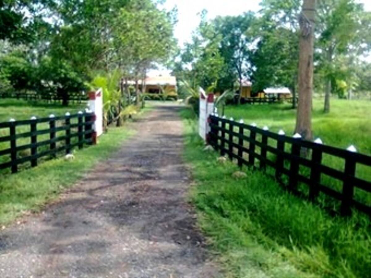 Gobierno anuncia demanda para recuperar tierra robada por las Farc a campesinos
