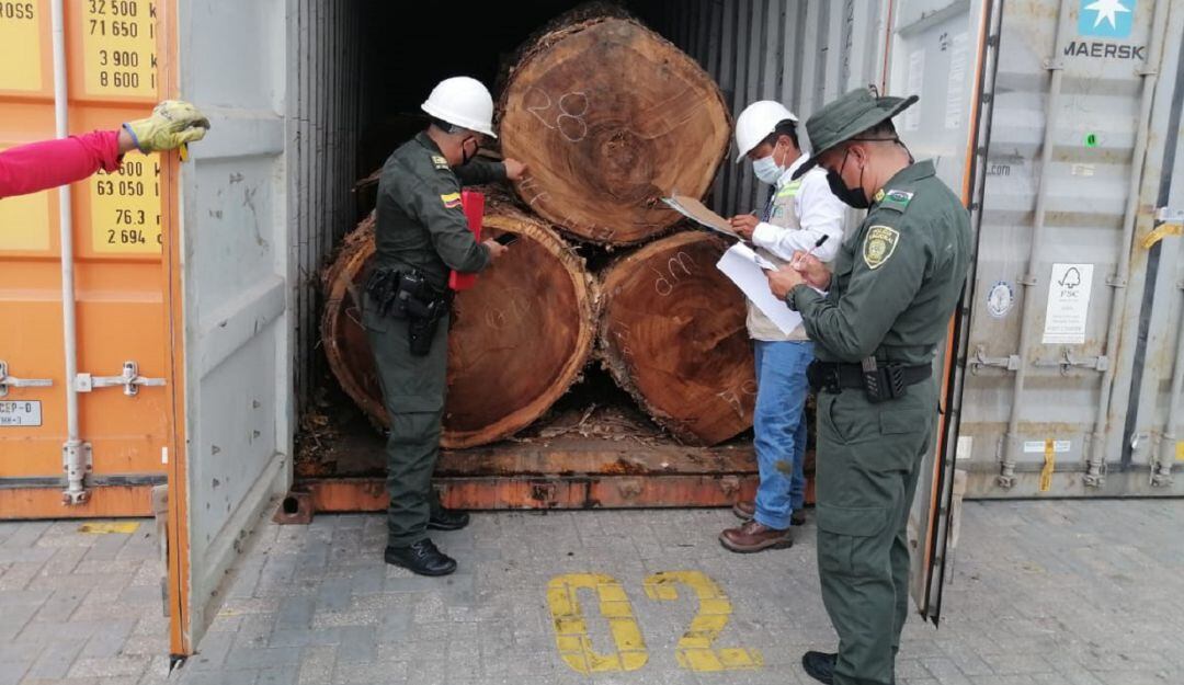 Se priorizarán los casos donde los infractores siguen afectando el medio ambiente a pesar de que ya han sido sancionados administrativamente