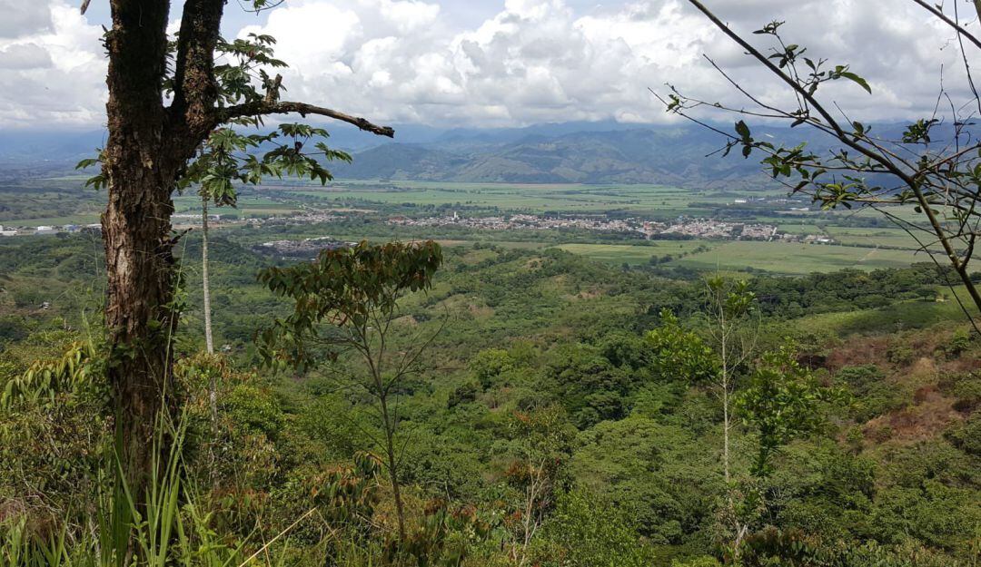 Puntos de vista con respecto al gran Parque San Mateo. 