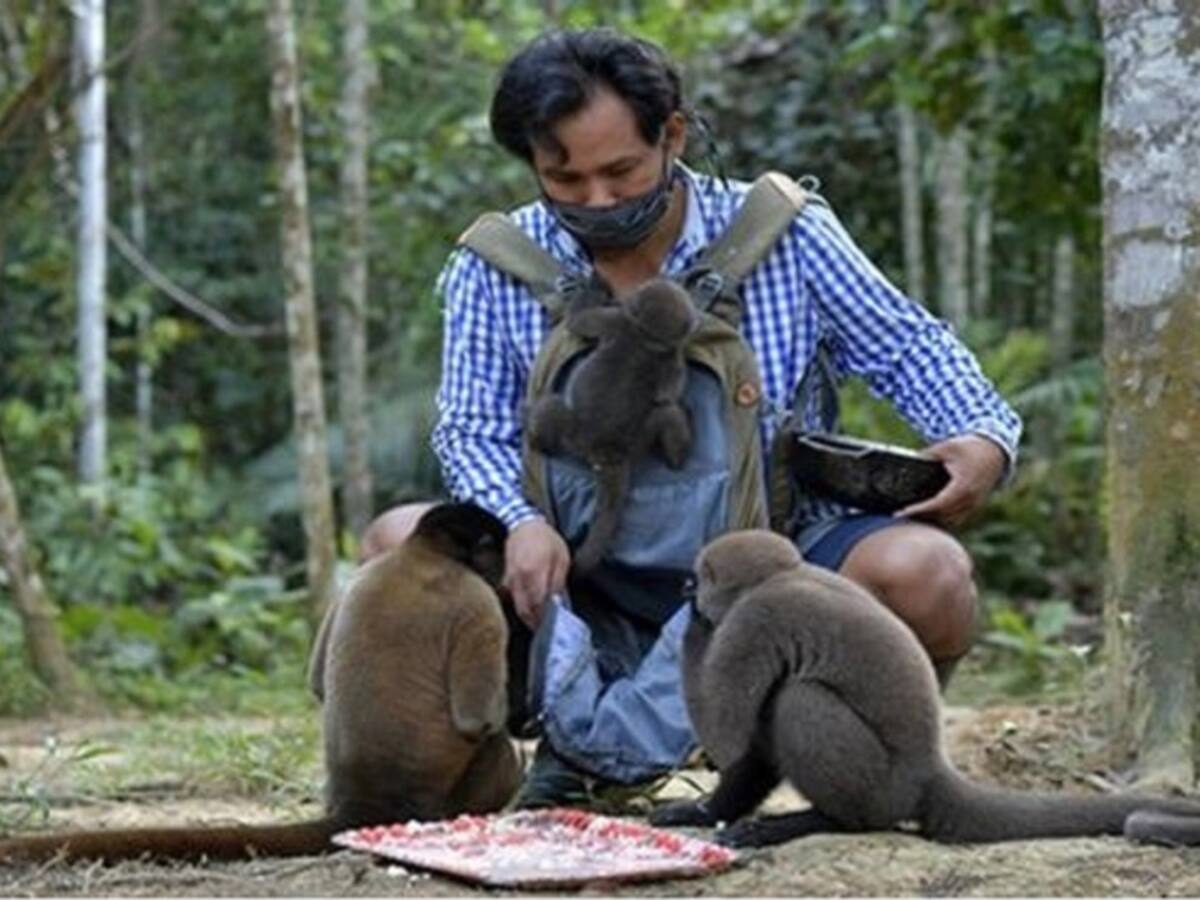 Jhon Jairo Vásquez es el padre de los monos huérfanos
