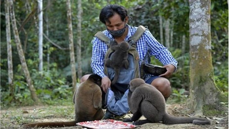 Jhon Jairo Vasquez es el padre de los monos huérfanos