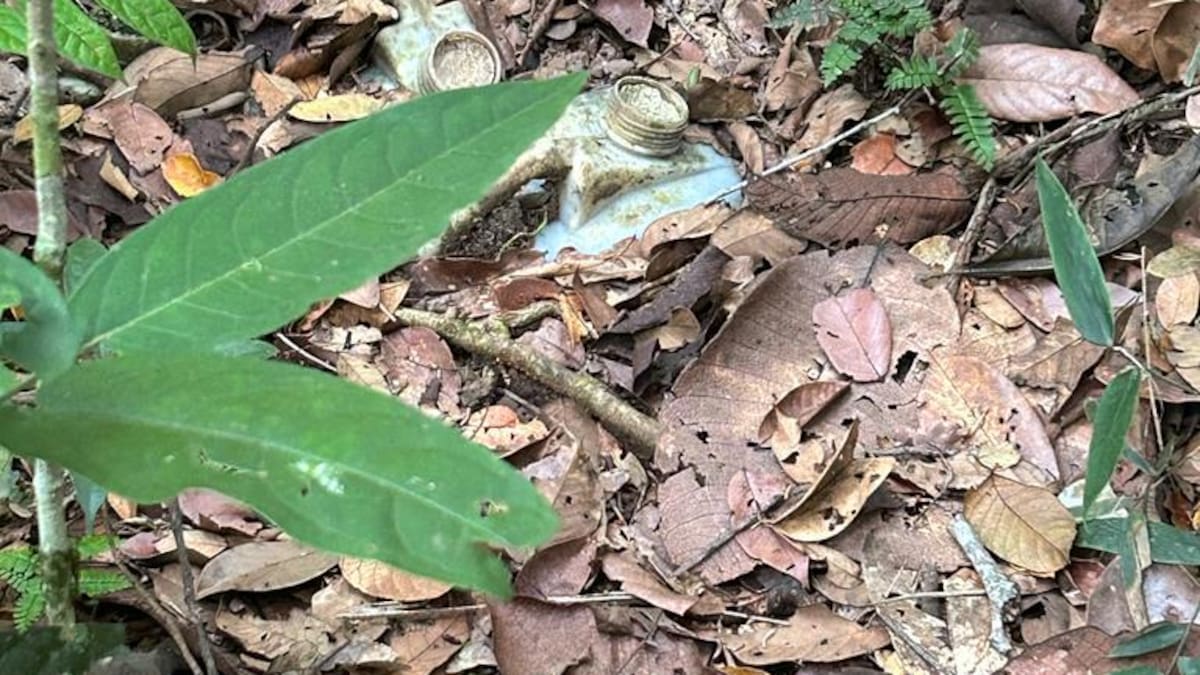 Artefactos explosivos pusieron en riesgo a comunidad indígena Nukak en Guaviare