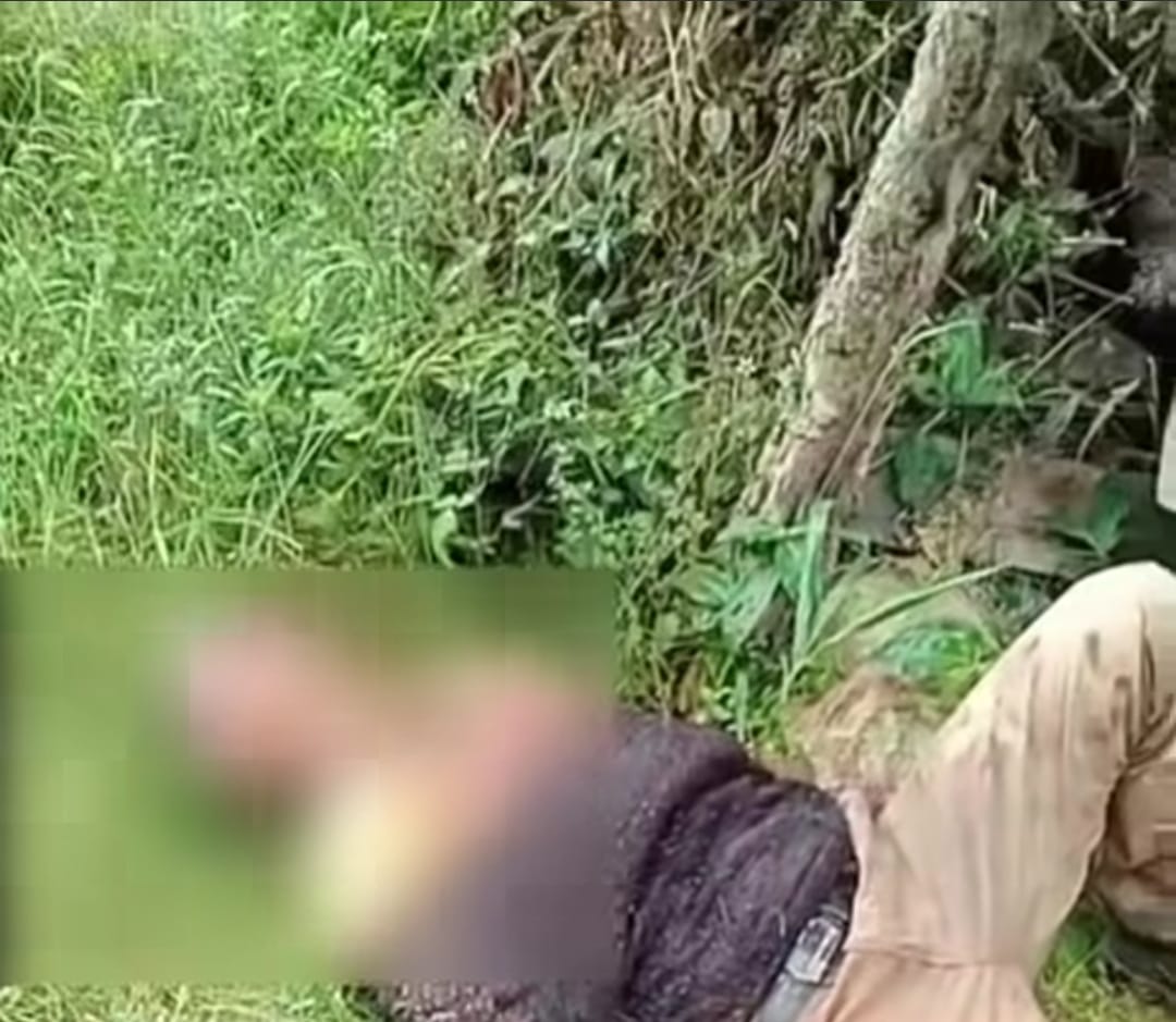 Al parecer las disidencias querian quitarle lavida