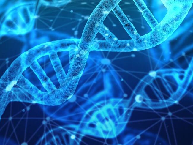La genética, una nueva forma de descubrir enfermedades en el embrión
