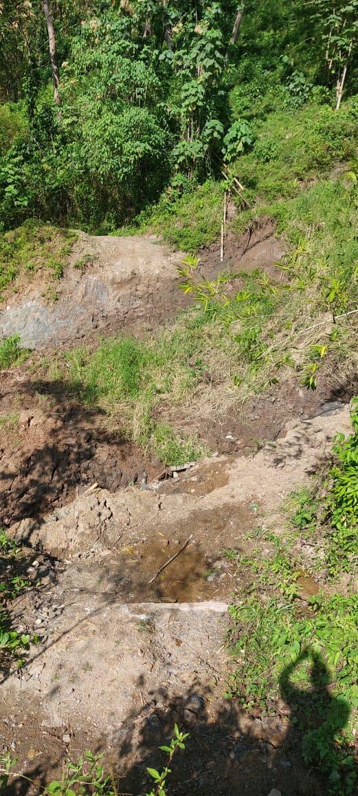 Suministrada por la comunidad