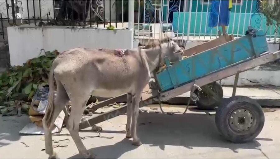 Policía Metropolitana de Cartagena