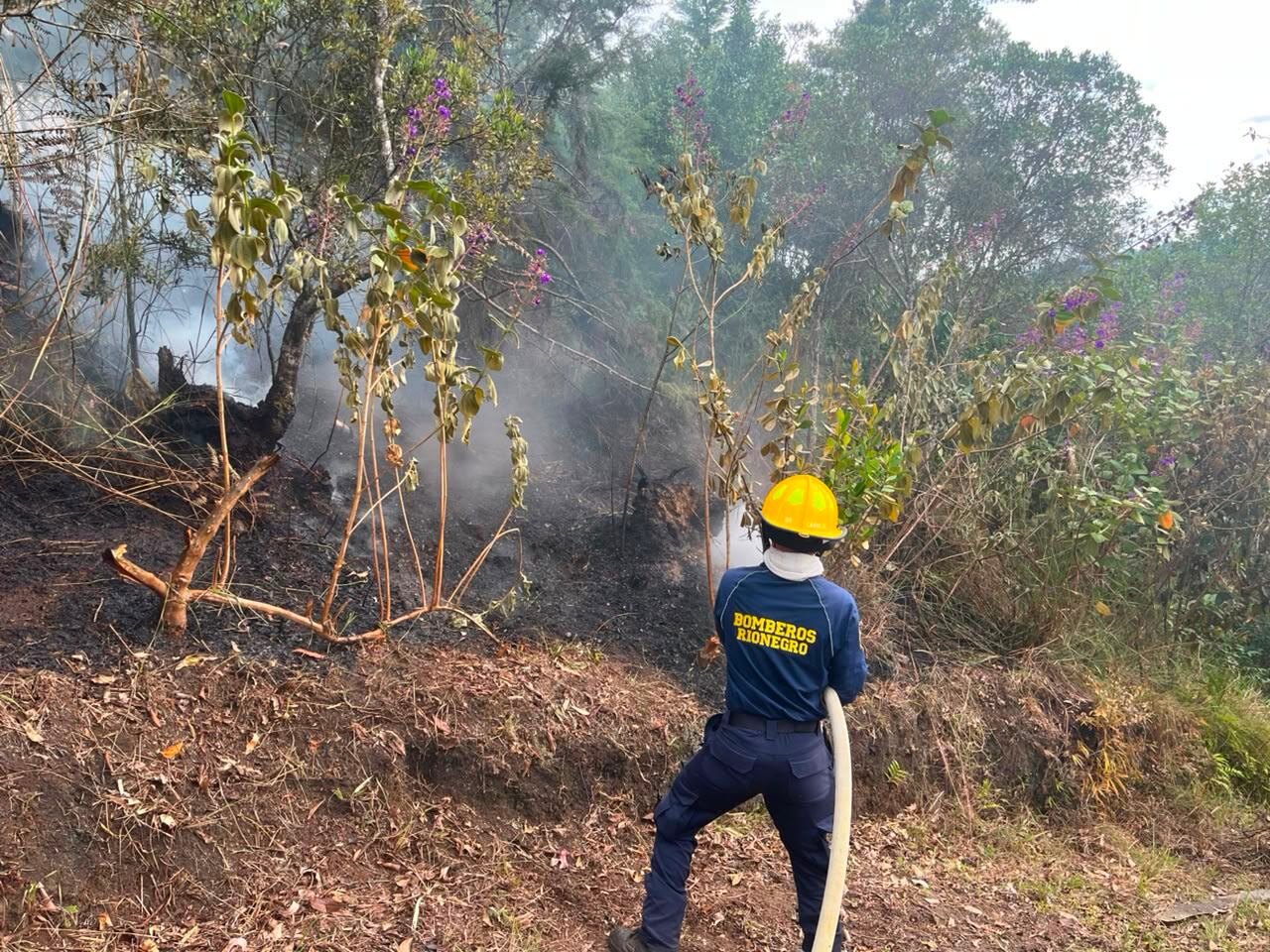 Foto: Bomberos de Rionegro