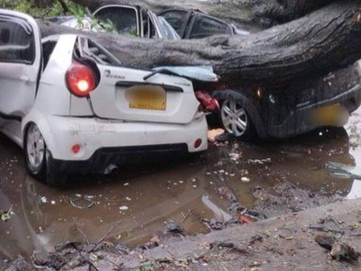 Siete carros resultaron afectados por un árbol que cayó en medio de tormenta en Bogotá