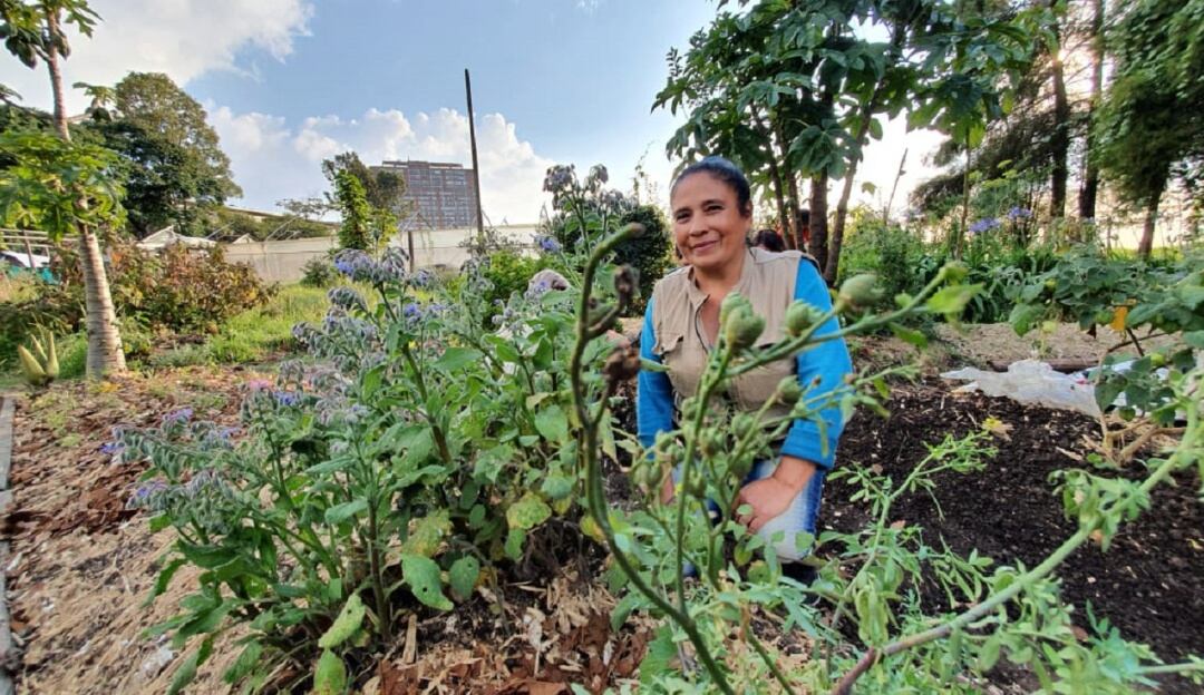 Huerta comunitaria en Bosa