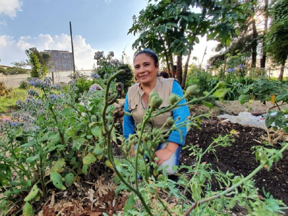 Huertas comunitarias, un emprendimiento de mujeres en Bosa