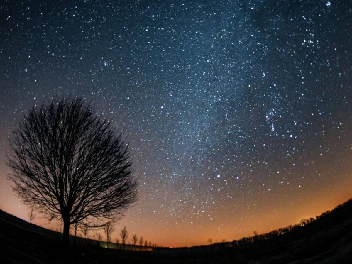 Conozca la influencia de Venus en el día a día