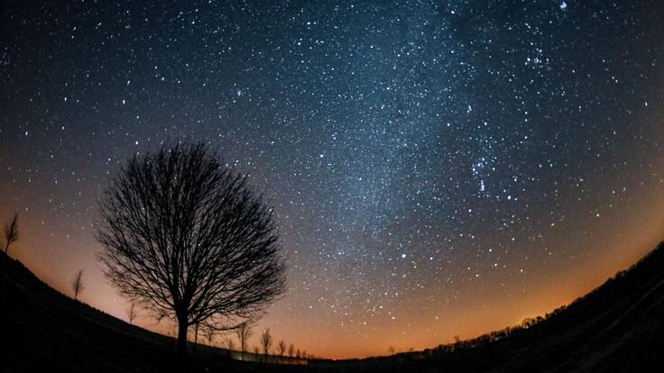 Conozca la influencia de Venus en el día a día