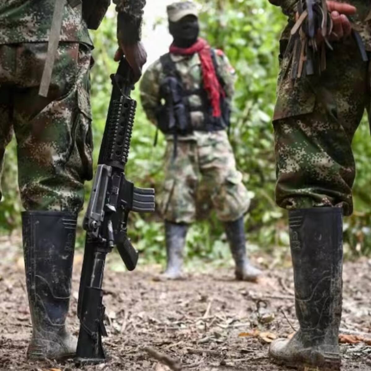 ELN anuncia paro armado de 72 horas desde el 14 de diciembre y alerta a la población civil