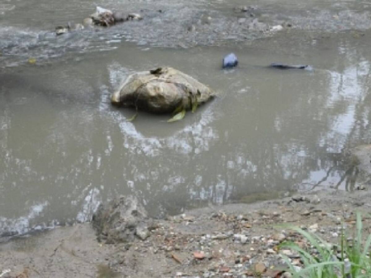 Encuentran cadáver en río Suratá