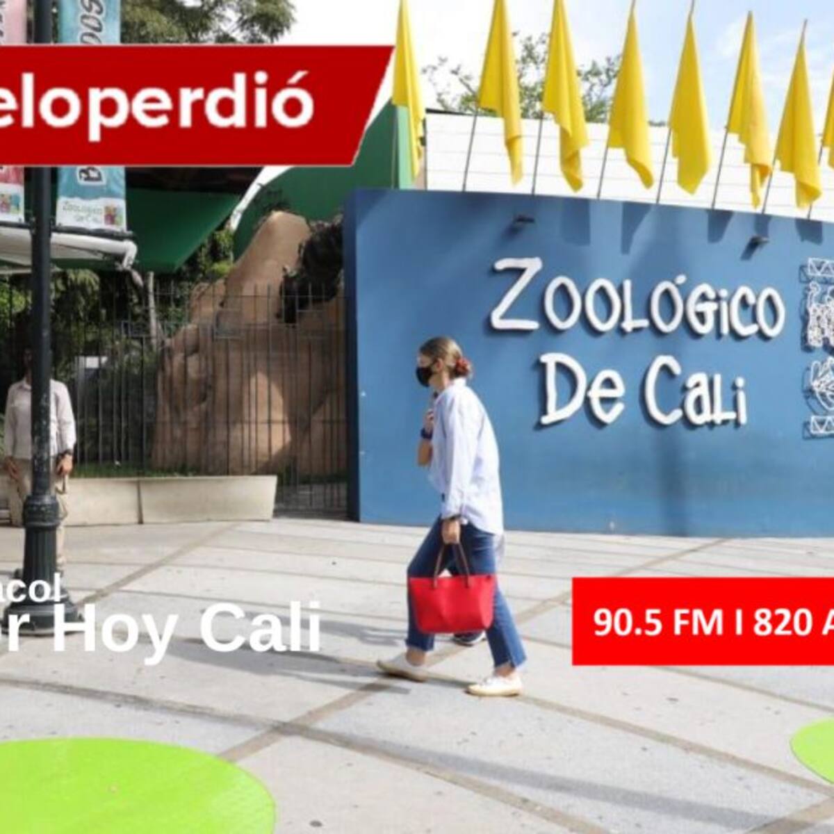 Cali Hoy por Hoy 04 de agosto del 2020