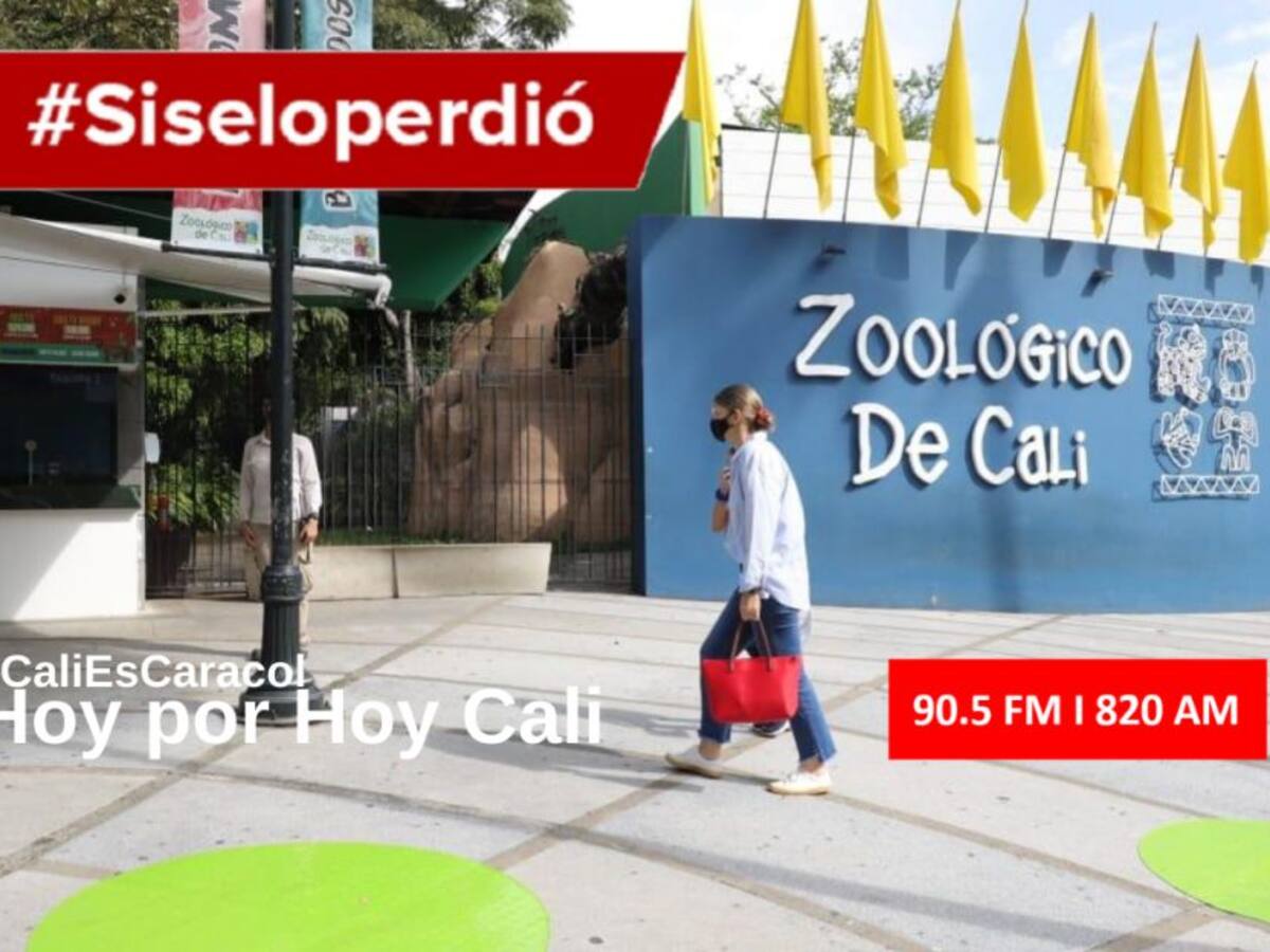 Cali Hoy por Hoy 04 de agosto del 2020