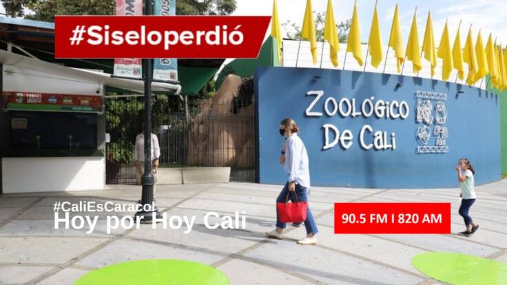 CALI HOY POR HOY 04 DE AGOSTO DEL 2020