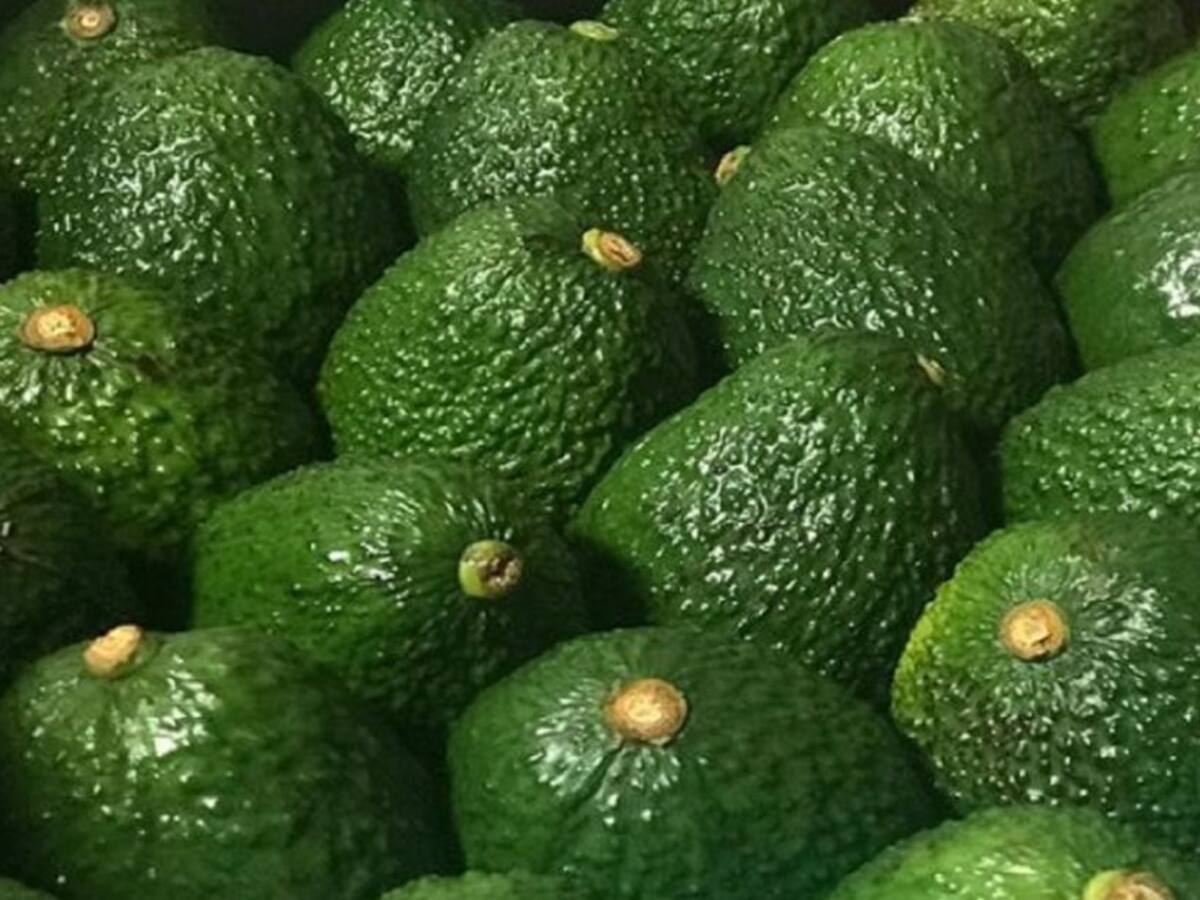 Exportaciones no mineras mantuvieron su tendencia al alza en diciembre