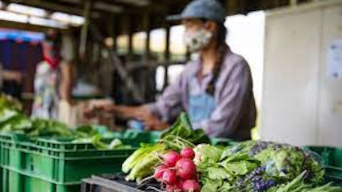 “No hay desabasteciendo en las plazas de mercado de Bogotá”: IPES