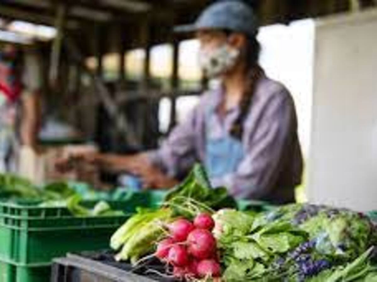 Estos son los municipios con actividades culturales para este fin de semana