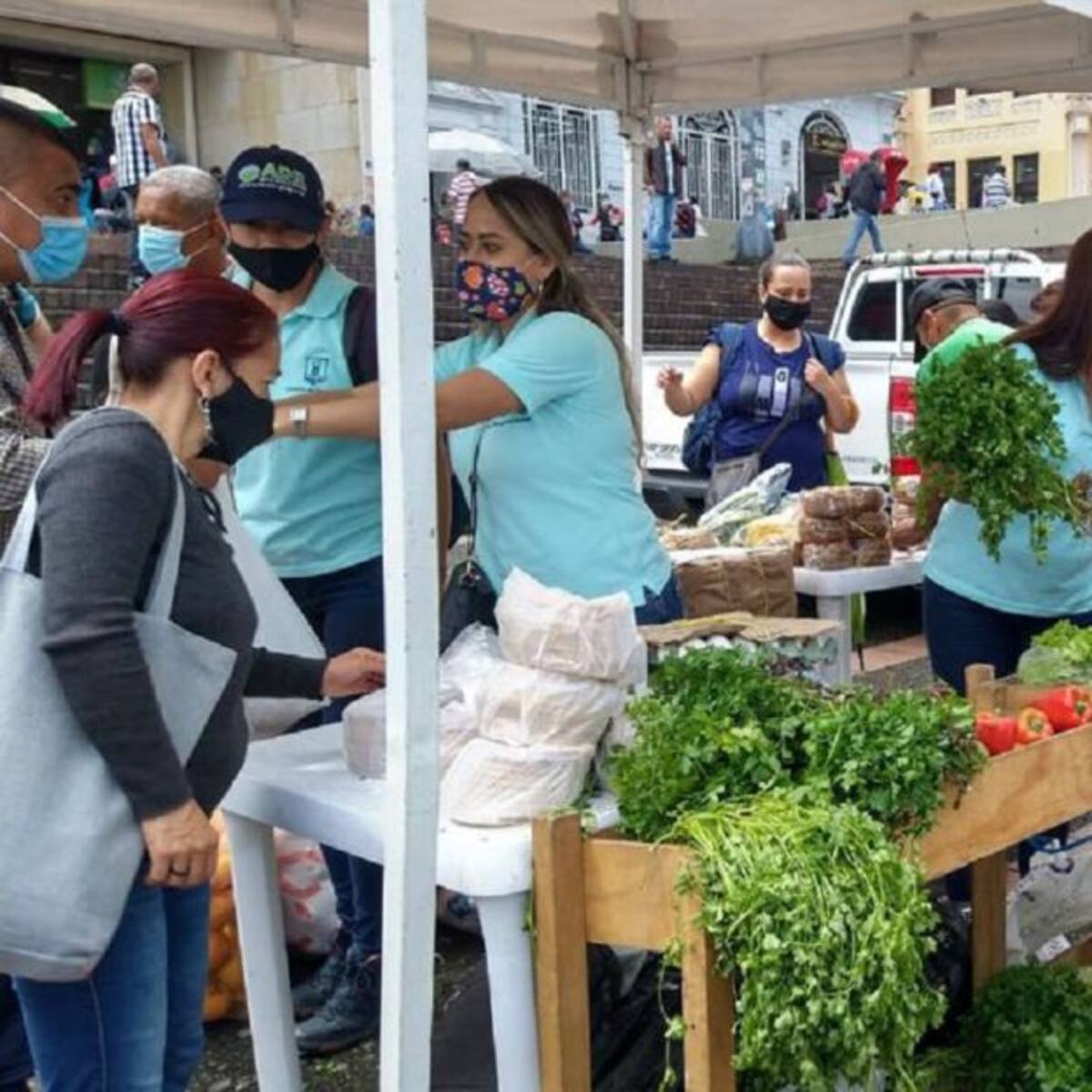 Alcaldía y ACOPI potencian la productividad rural de Manizales