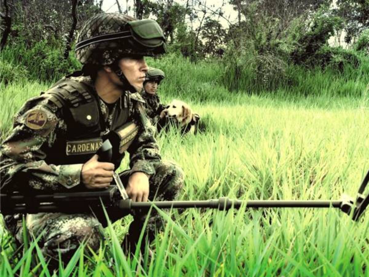 Disidentes de las Farc están minando los campos de cultivos ilícitos: Ejército