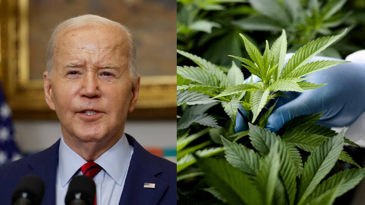 Biden respalda reclasificación de la marihuana como una droga de bajo riesgo en EE.UU.