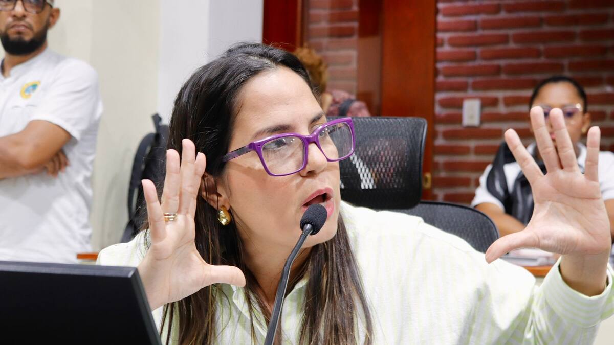 Conozca cuándo serán las audiencias públicas de dos proyectos que estudia el Concejo de Cartagena