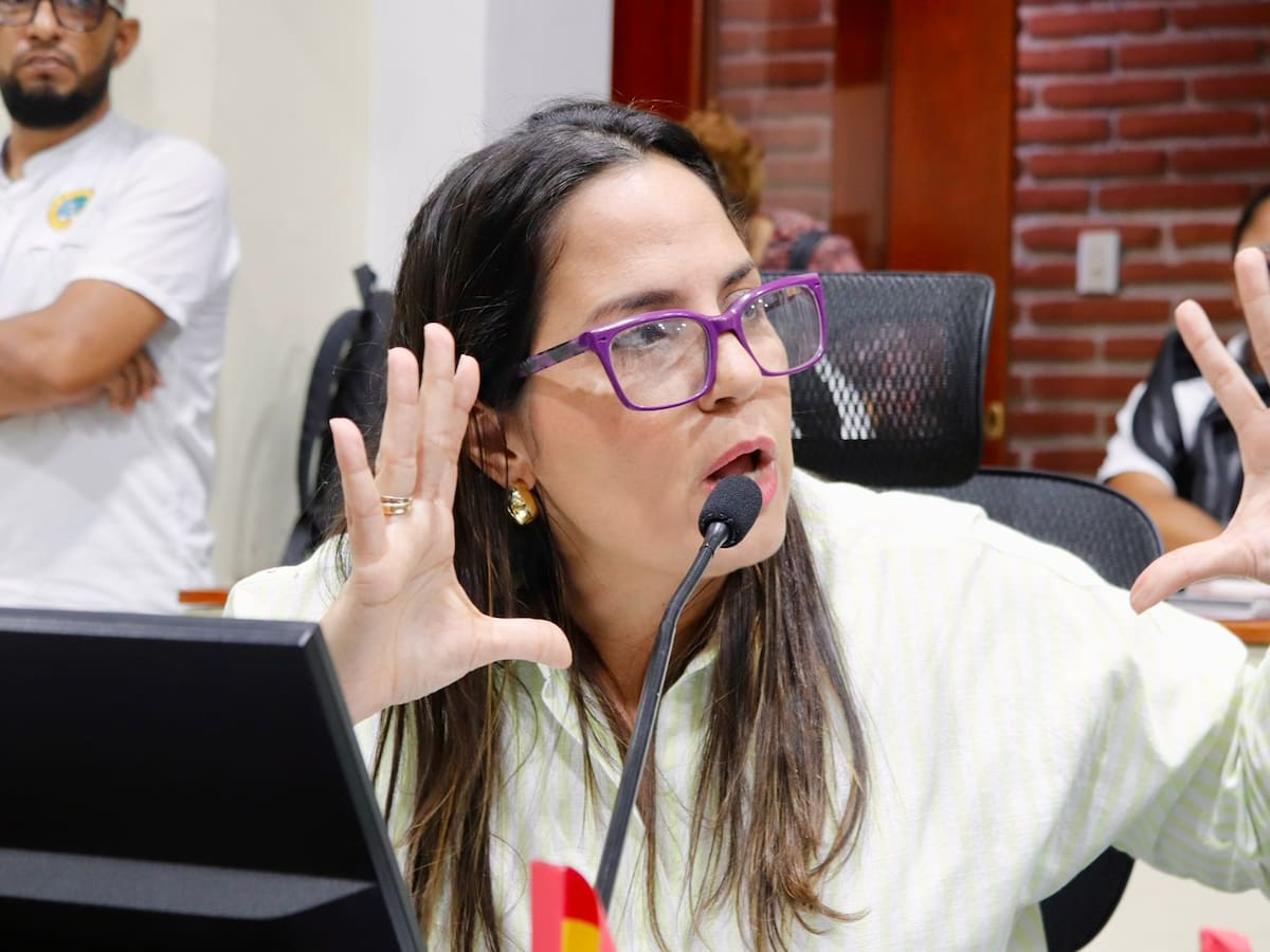 Conozca cuándo serán las audiencias públicas de dos proyectos que estudia el Concejo de Cartagena