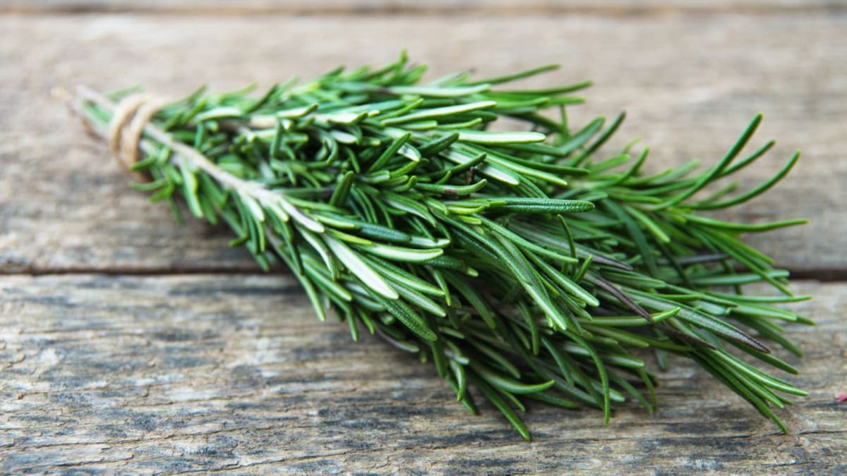 Chipaque, tierra de hierbas aromáticas tipo exportación