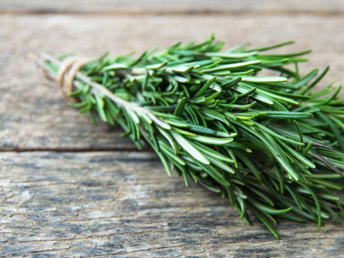 Chipaque, tierra de hierbas aromáticas tipo exportación