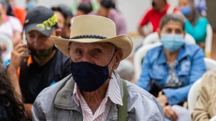 Directora del DPS en el Quindío, Luz Helena Forero