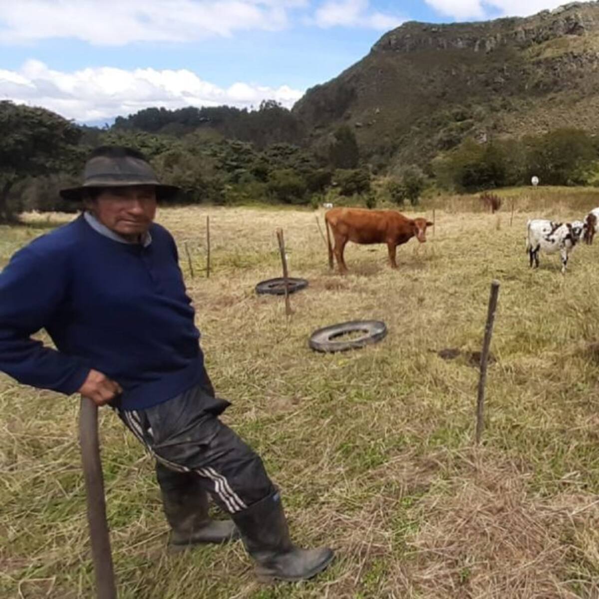 Así va la delimitación del Páramo de Pisba: Ganadería y Agricultura