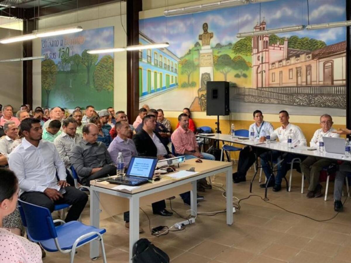 El Cauca sigue avanzando para que cannabis medicinal genere impacto social