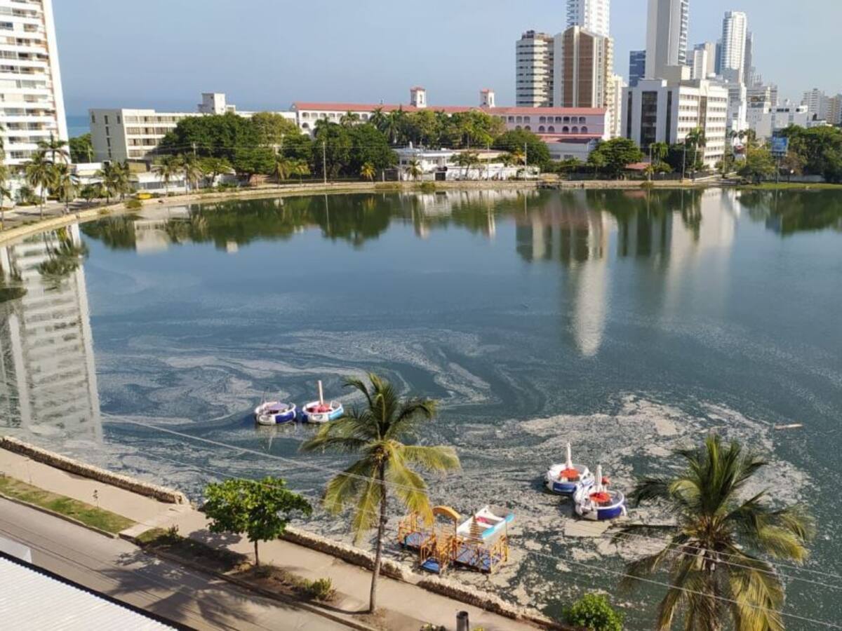 Aguas residuales están contaminando el lago: comunidad de El Laguito