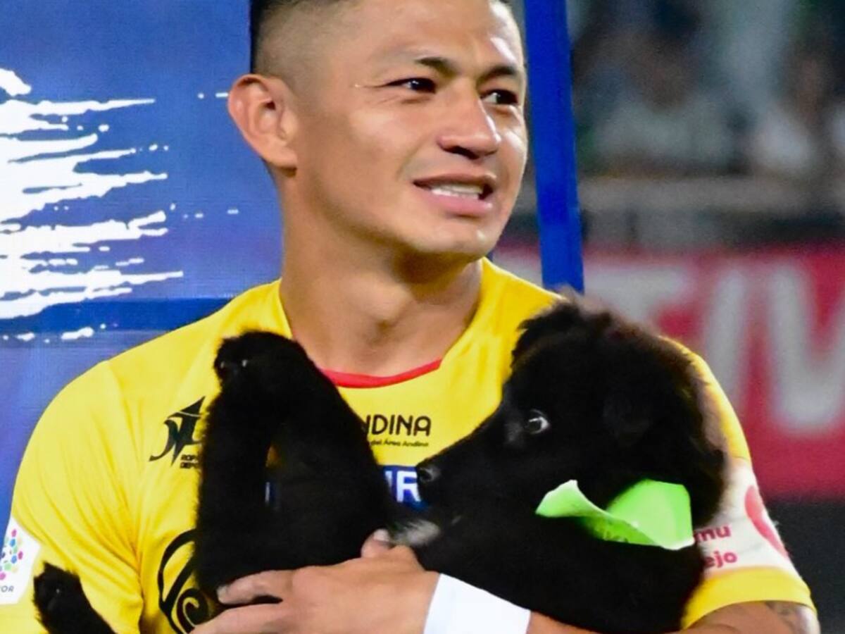 La tierna campaña que lidera el Deportivo Pereira
