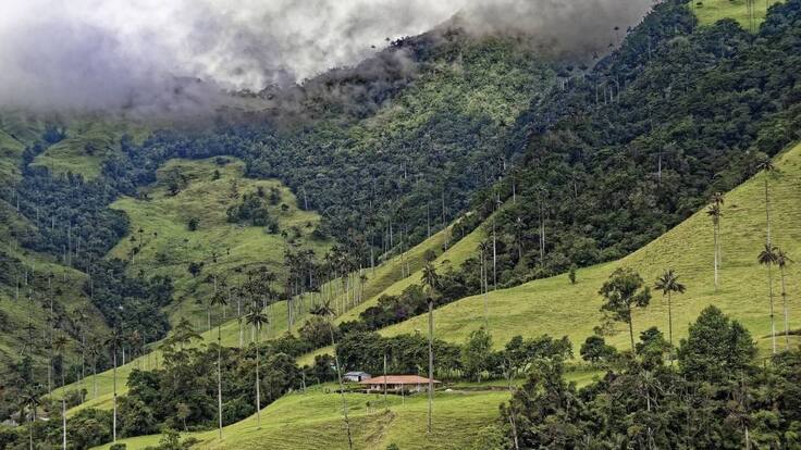 MAYO 22 - PAIS DE BOSQUES - EN FAMILIA
