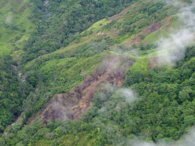 Más de 720 mil hectáreas deforestadas en Colombia desde 2014