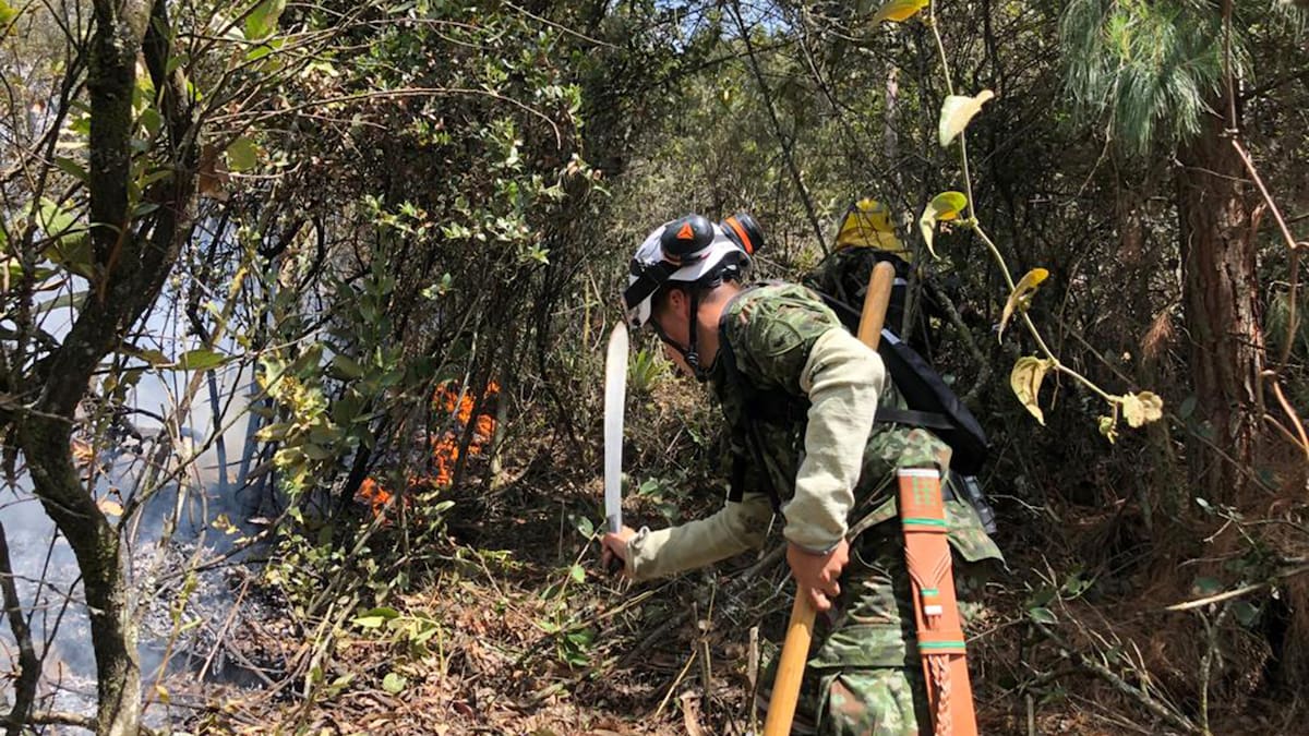 “Estamos a máxima capacidad operativa, atendiendo más de 11 incendios”: Capitán A. Farfán