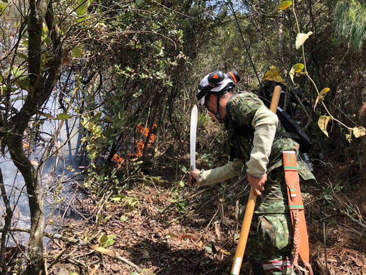 “Estamos a máxima capacidad operativa, atendiendo más de 11 incendios”: Capitán A. Farfán