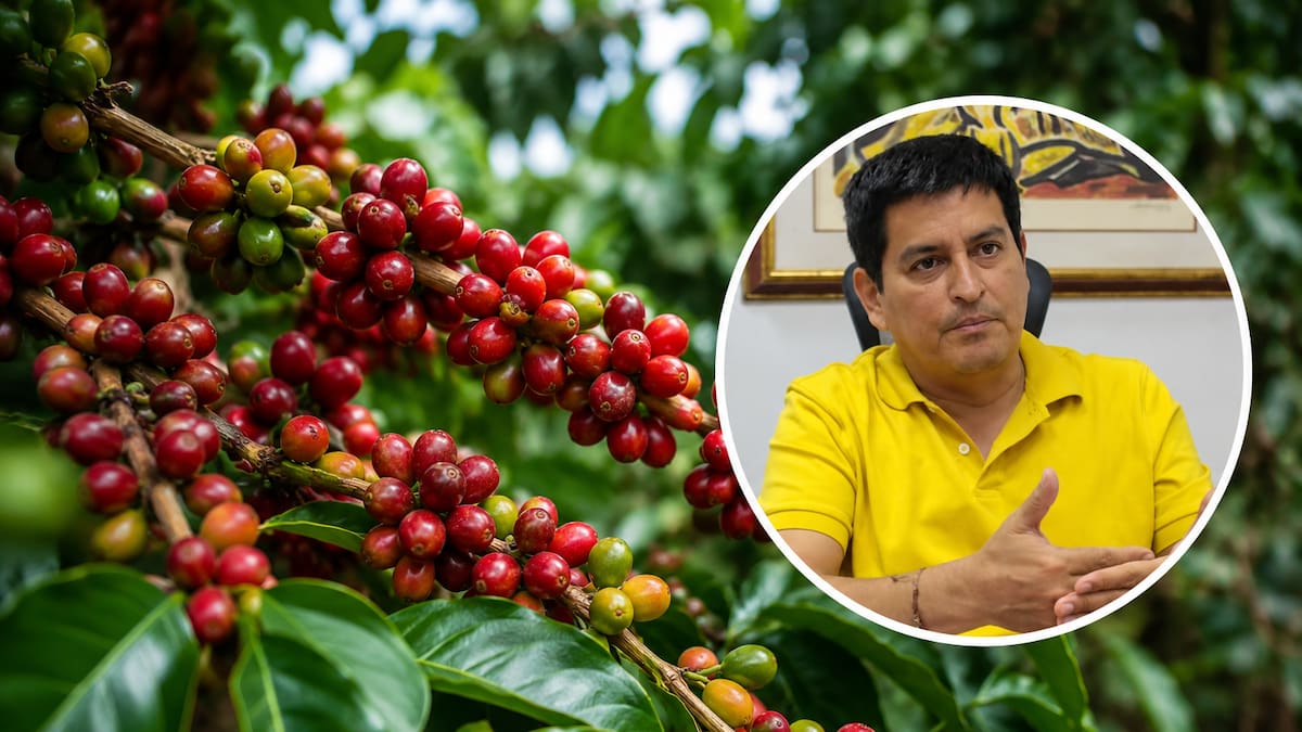Gestión liderada desde el Huila logra alivio tributario para cooperativas cafeteras