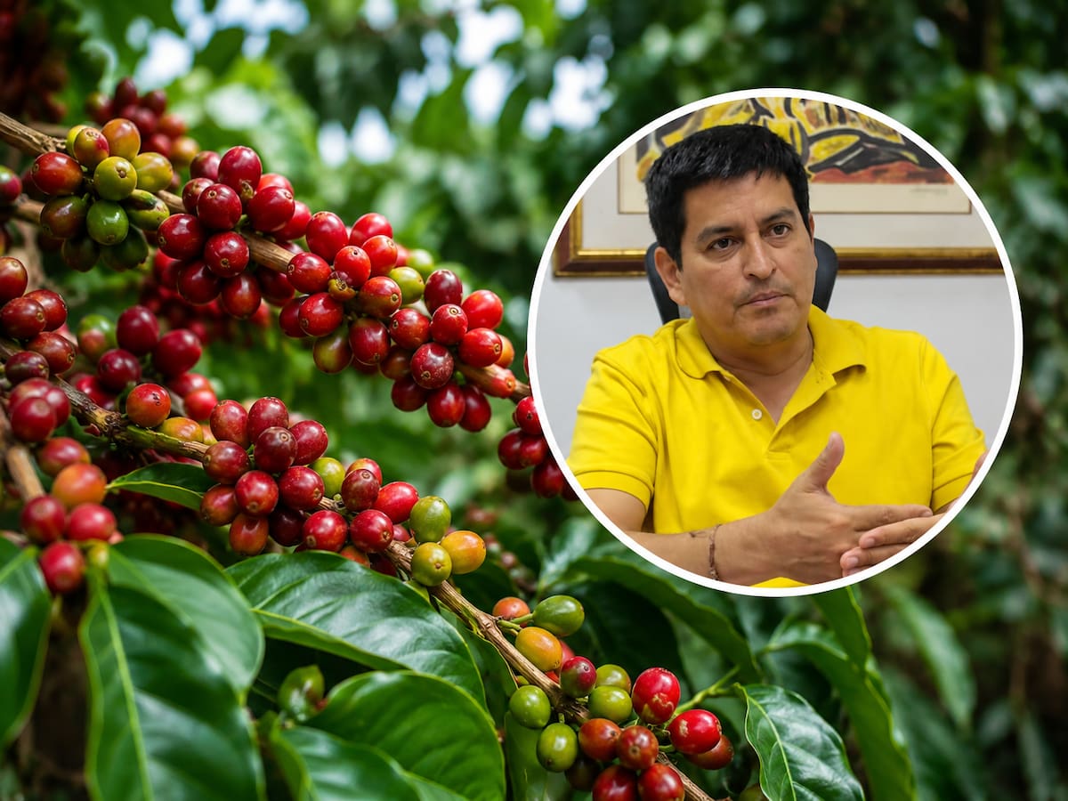 Gestión liderada desde el Huila logra alivio tributario para cooperativas cafeteras