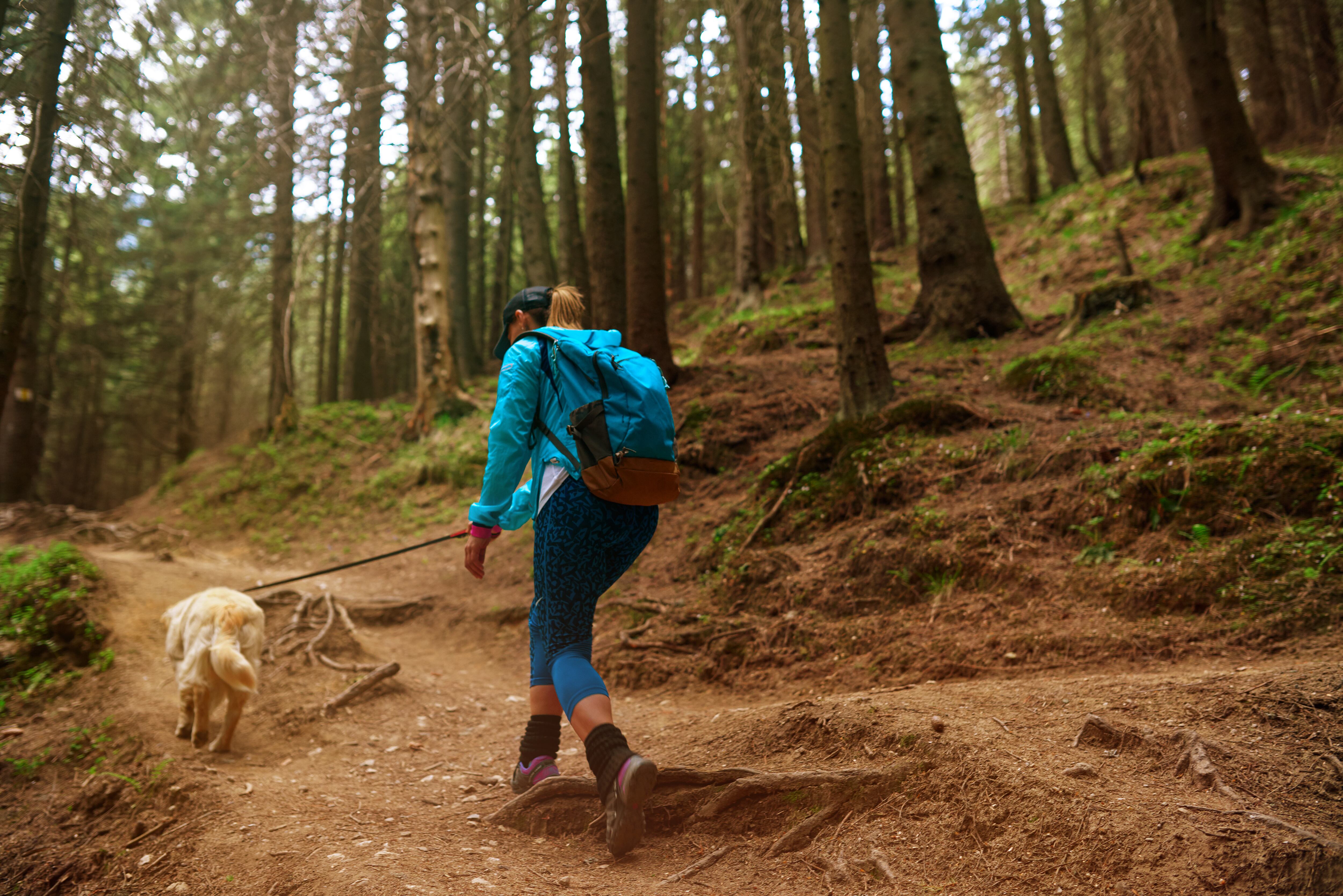 Mujer haciendo senderismo junto con su perro (Foto: Getty Images)
