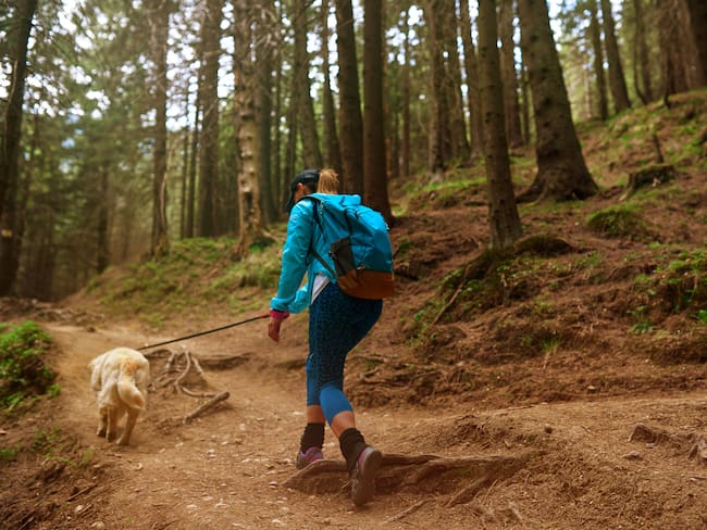 Mujer haciendo senderismo junto con su perro (Foto: Getty Images)