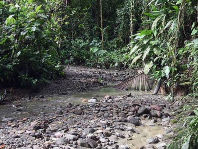 6 personas muertas en alud de tierra en Tado Chocó