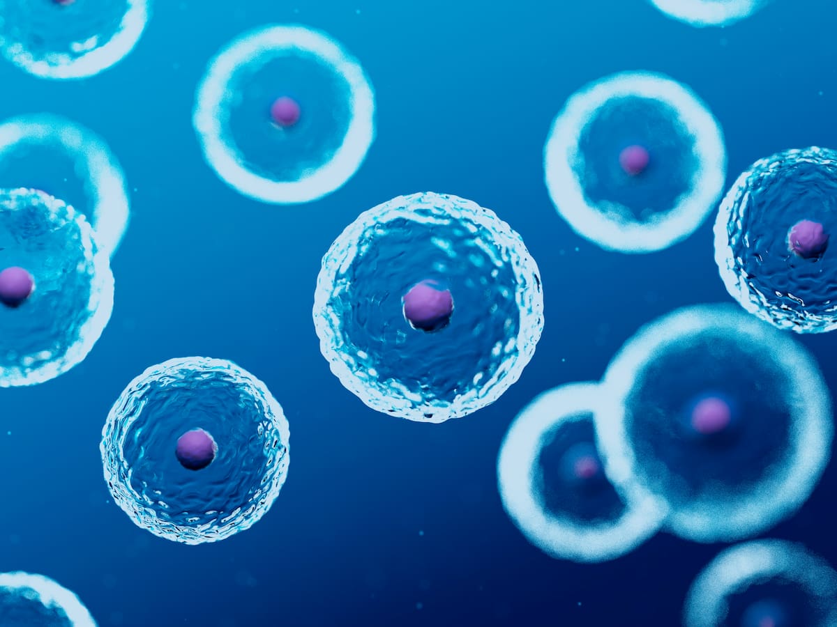 Científicos reviven bacterias ancestrales en busca de medicina y tratamientos modernos