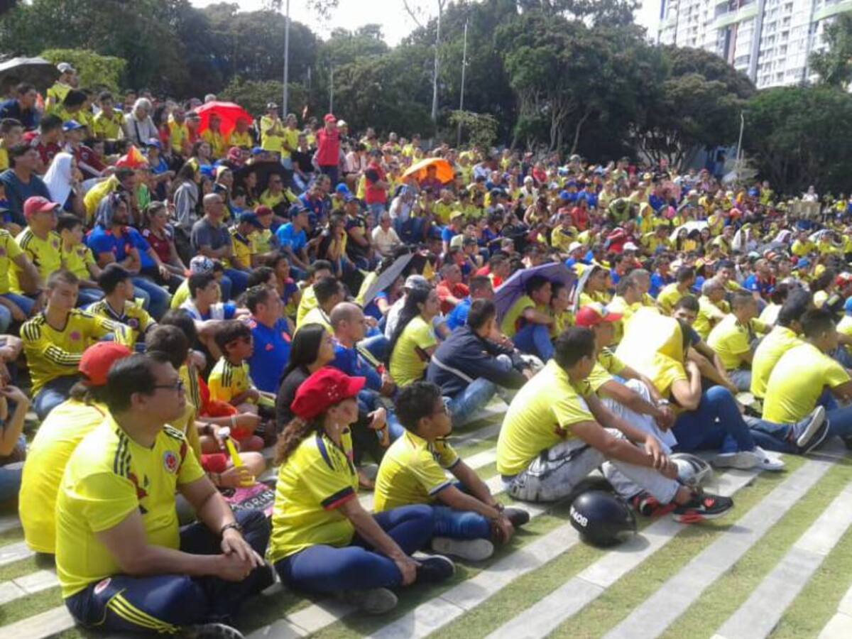 Video: Así celebraron bumangueses el paso a la segunda ronda del mundial